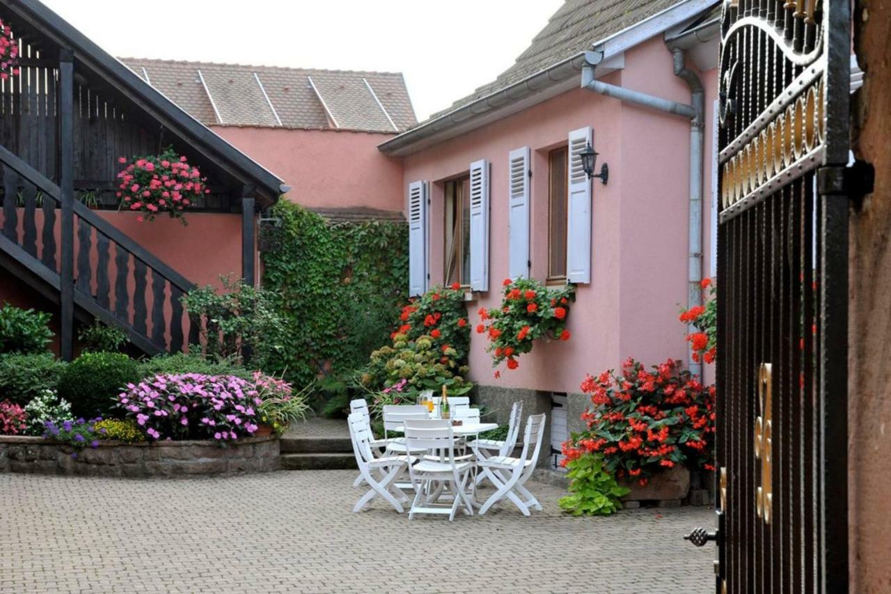 Gites-weyer N°1 Appartement Bergheim